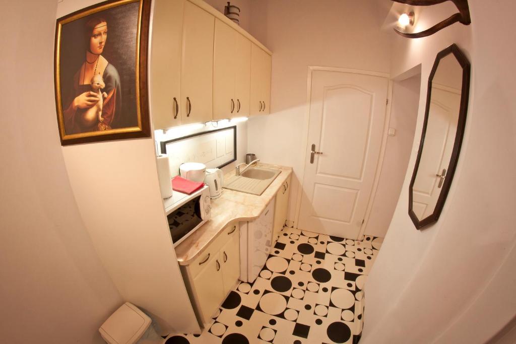 Da Vinci Apartment 크라쿠프 외부 사진