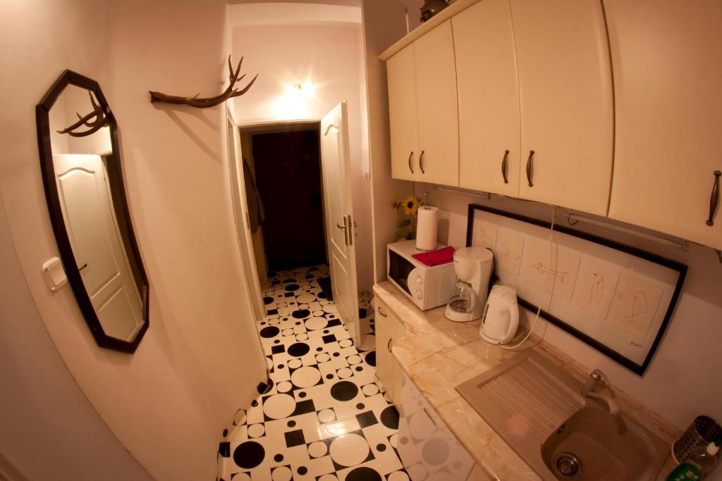 Da Vinci Apartment 크라쿠프 외부 사진
